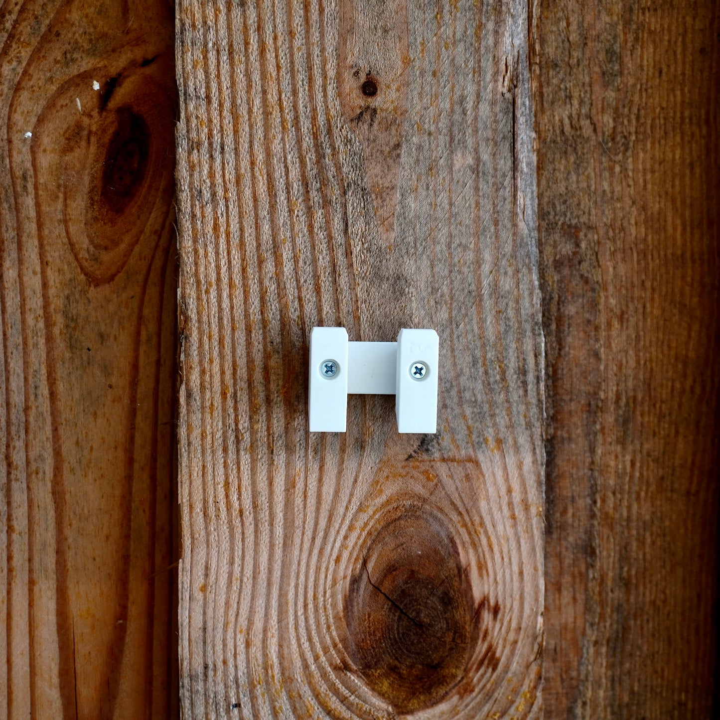 Skull Cap Deer Antler Mount